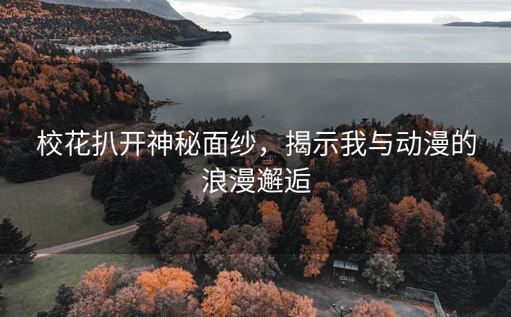 校花扒开神秘面纱，揭示我与动漫的浪漫邂逅